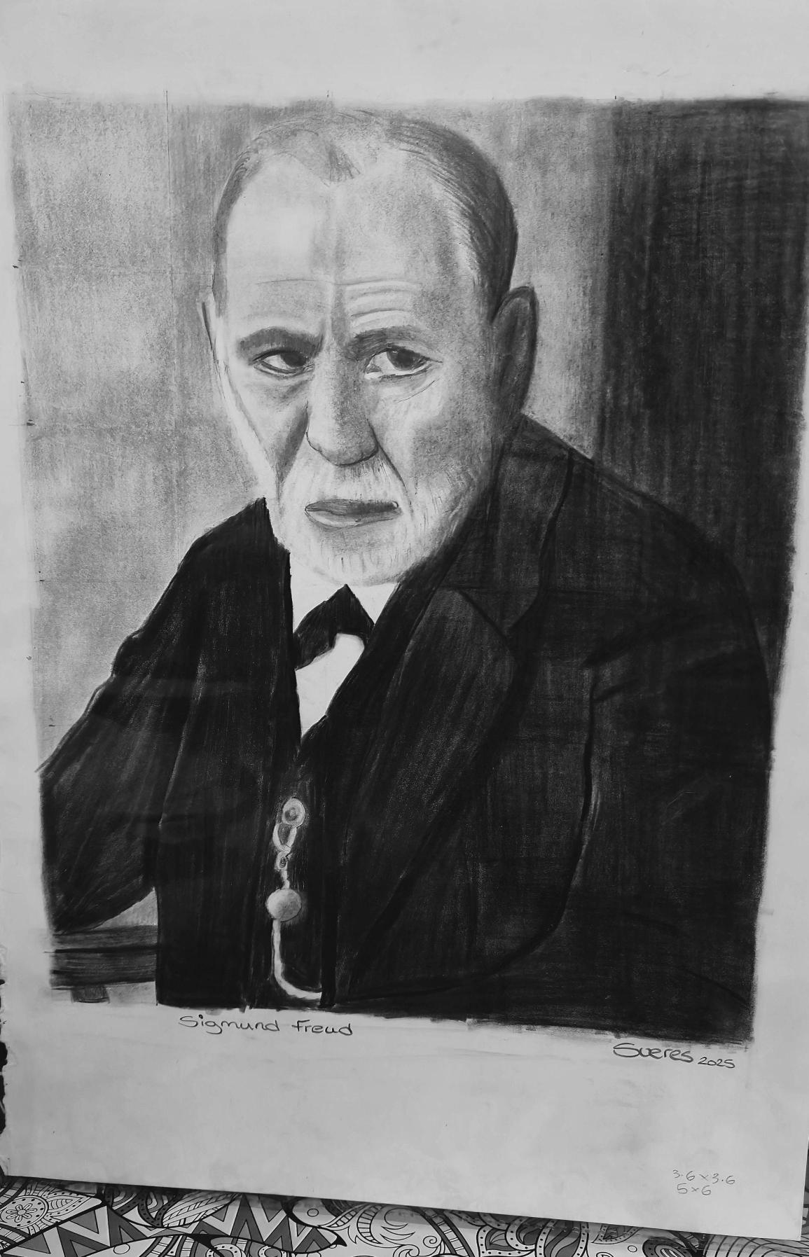 Customised graphite portrait. (Human)